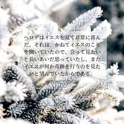 Picture 07 - ルカによる福音書 23:8 JPN - ヘロデはイエスを見て非常に喜んだ - Bible Verse Picture