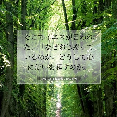 Picture 07 - ルカによる福音書 24:38 JPN - そこでイエスが言われた、「なぜお - Bible Verse Picture