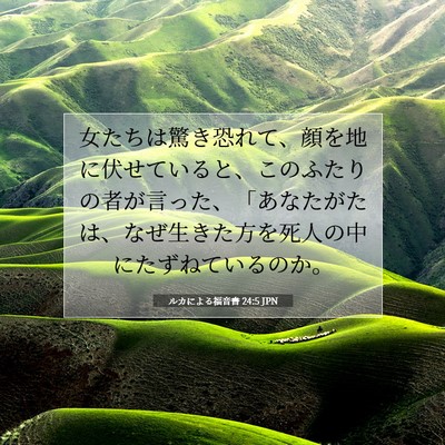 Picture 07 - ルカによる福音書 24:5 JPN - 女たちは驚き恐れて、顔を地に伏せ - Bible Verse Picture