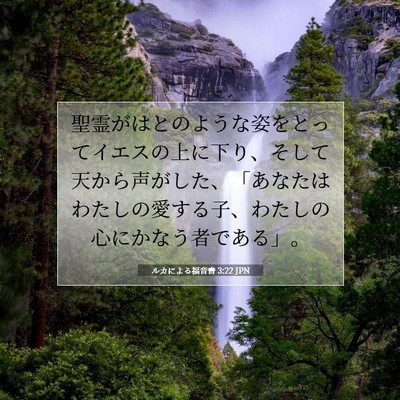 Picture 07 - ルカによる福音書 3:22 JPN - 聖霊がはとのような姿をとってイエ - Bible Verse Picture