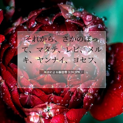 Picture 07 - ルカによる福音書 3:24 JPN - それから、さかのぼって、マタテ、 - Bible Verse Picture