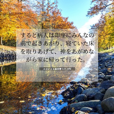 Picture 07 - ルカによる福音書 5:25 JPN - すると病人は即座にみんなの前で起 - Bible Verse Picture
