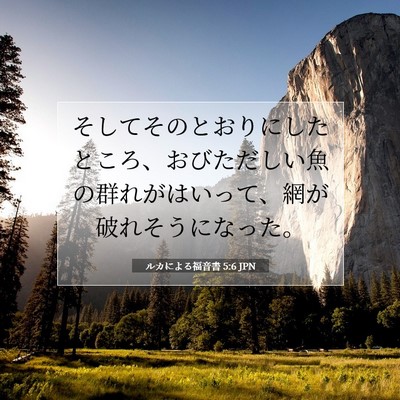 Picture 07 - ルカによる福音書 5:6 JPN - そしてそのとおりにしたところ、お - Bible Verse Picture