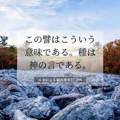 Picture 07 - ルカによる福音書 8:11 JPN - この譬はこういう意味である。種は - Bible Verse Picture