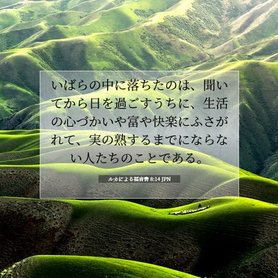 Picture 07 - ルカによる福音書 8:14 JPN - いばらの中に落ちたのは、聞いてか - Bible Verse Picture