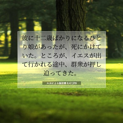 Picture 07 - ルカによる福音書 8:42 JPN - 彼に十二歳ばかりになるひとり娘が - Bible Verse Picture