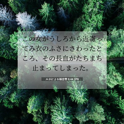 Picture 07 - ルカによる福音書 8:44 JPN - この女がうしろから近寄ってみ衣の - Bible Verse Picture