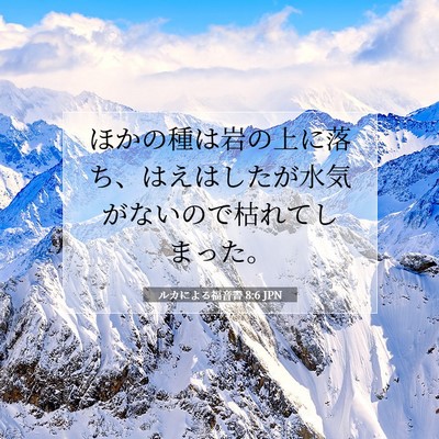 Picture 07 - ルカによる福音書 8:6 JPN - ほかの種は岩の上に落ち、はえはし - Bible Verse Picture