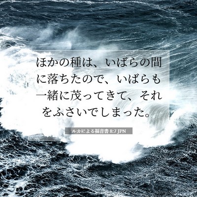 Picture 07 - ルカによる福音書 8:7 JPN - ほかの種は、いばらの間に落ちたの - Bible Verse Picture