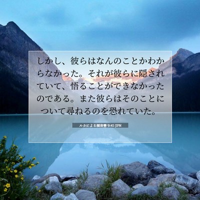 Picture 07 - ルカによる福音書 9:45 JPN - しかし、彼らはなんのことかわから - Bible Verse Picture