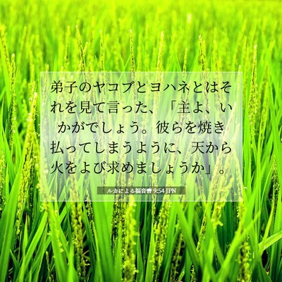 Picture 07 - ルカによる福音書 9:54 JPN - 弟子のヤコブとヨハネとはそれを見 - Bible Verse Picture