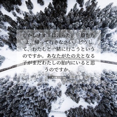Picture 07 - ルツ記 1:11 JPN - しかしナオミは言った、「娘たちよ - Bible Verse Picture