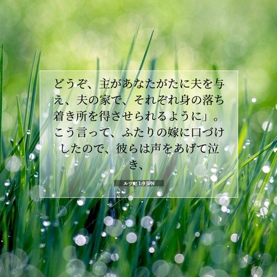 Picture 07 - ルツ記 1:9 JPN - どうぞ、主があなたがたに夫を与え - Bible Verse Picture