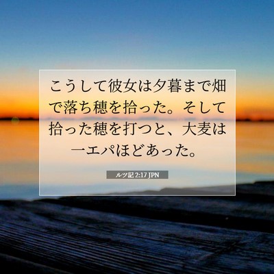 Picture 07 - ルツ記 2:17 JPN - こうして彼女は夕暮まで畑で落ち穂 - Bible Verse Picture