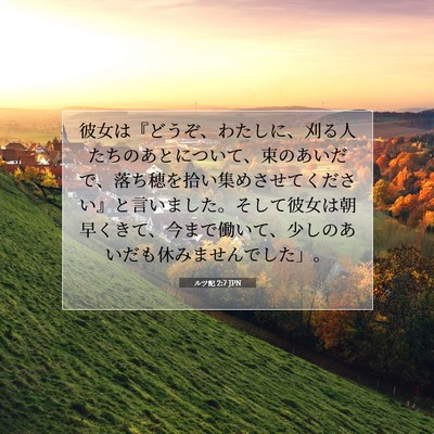 Picture 07 - ルツ記 2:7 JPN - 彼女は『どうぞ、わたしに、刈る人 - Bible Verse Picture