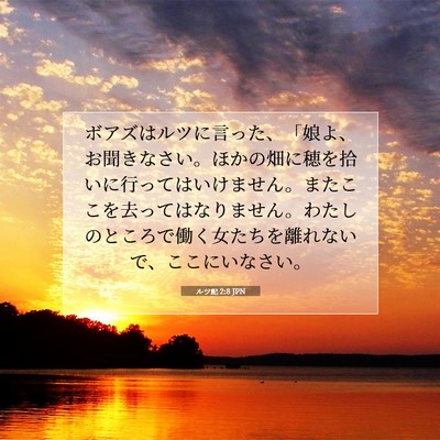 Picture 07 - ルツ記 2:8 JPN - ボアズはルツに言った、「娘よ、お - Bible Verse Picture