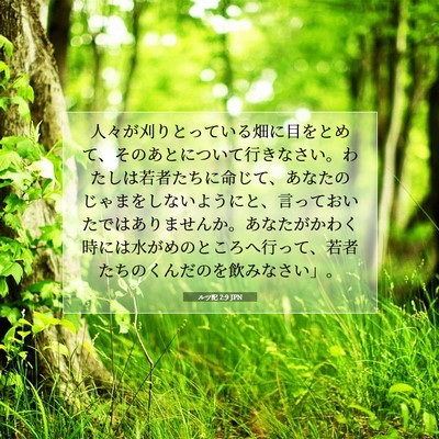 Picture 07 - ルツ記 2:9 JPN - 人々が刈りとっている畑に目をとめ - Bible Verse Picture