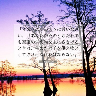Picture 07 - レビ記 1:2 JPN - 「イスラエルの人々に言いなさい、 - Bible Verse Picture
