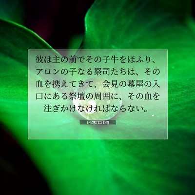 Picture 07 - レビ記 1:5 JPN - 彼は主の前でその子牛をほふり、ア - Bible Verse Picture