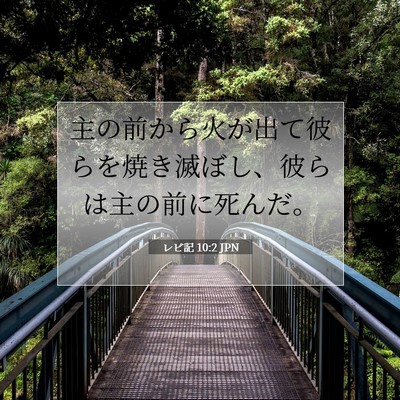 Picture 07 - レビ記 10:2 JPN - 主の前から火が出て彼らを焼き滅ぼ - Bible Verse Picture