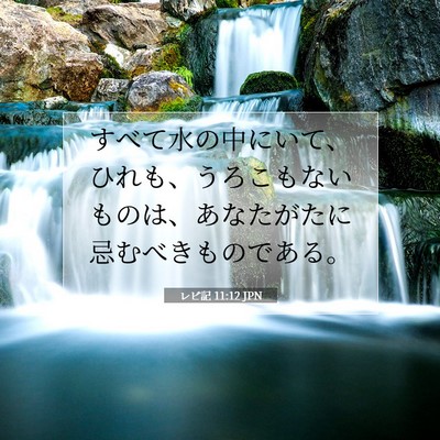 Picture 07 - レビ記 11:12 JPN - すべて水の中にいて、ひれも、うろ - Bible Verse Picture
