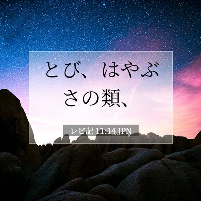Picture 07 - レビ記 11:14 JPN - とび、はやぶさの類、 - Bible Verse Picture
