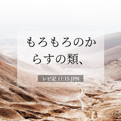 Picture 07 - レビ記 11:15 JPN - もろもろのからすの類、 - Bible Verse Picture