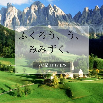 Picture 07 - レビ記 11:17 JPN - ふくろう、う、みみずく、 - Bible Verse Picture