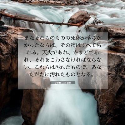 Picture 07 - レビ記 11:35 JPN - またそれらのものの死体が落ちかか - Bible Verse Picture