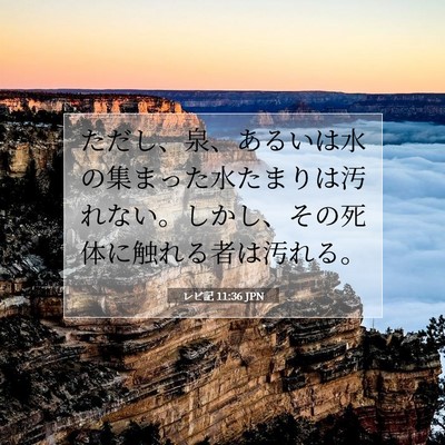 Picture 07 - レビ記 11:36 JPN - ただし、泉、あるいは水の集まった - Bible Verse Picture