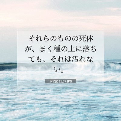 Picture 07 - レビ記 11:37 JPN - それらのものの死体が、まく種の上 - Bible Verse Picture