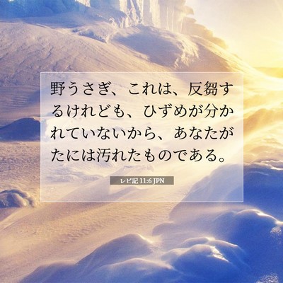 Picture 07 - レビ記 11:6 JPN - 野うさぎ、これは、反芻するけれど - Bible Verse Picture