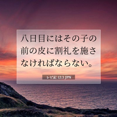 Picture 07 - レビ記 12:3 JPN - 八日目にはその子の前の皮に割礼を - Bible Verse Picture