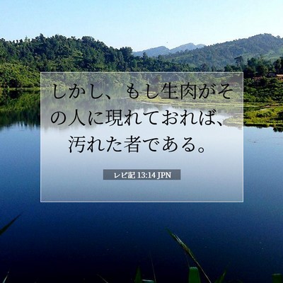 Picture 07 - レビ記 13:14 JPN - しかし、もし生肉がその人に現れて - Bible Verse Picture