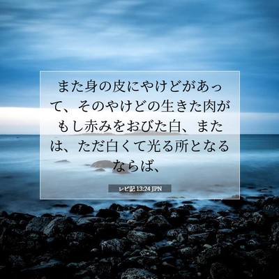 Picture 07 - レビ記 13:24 JPN - また身の皮にやけどがあって、その - Bible Verse Picture