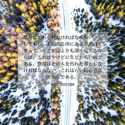 Picture 07 - レビ記 13:25 JPN - 祭司はこれを見なければならない。 - Bible Verse Picture