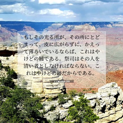 Picture 07 - レビ記 13:28 JPN - もしその光る所が、その所にとどま - Bible Verse Picture