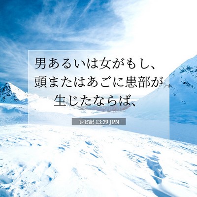 Picture 07 - レビ記 13:29 JPN - 男あるいは女がもし、頭またはあご - Bible Verse Picture
