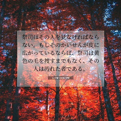Picture 07 - レビ記 13:36 JPN - 祭司はその人を見なければならない - Bible Verse Picture