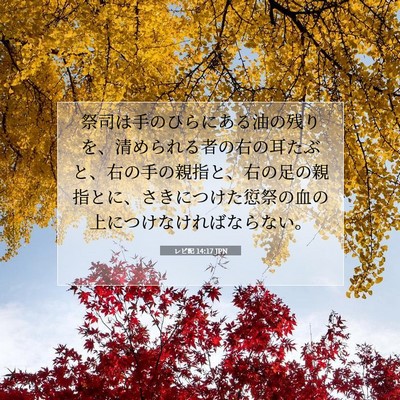 Picture 07 - レビ記 14:17 JPN - 祭司は手のひらにある油の残りを、 - Bible Verse Picture