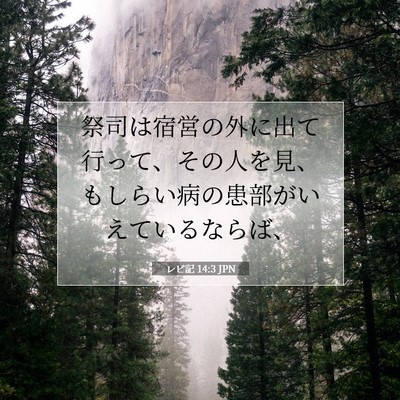 Picture 07 - レビ記 14:3 JPN - 祭司は宿営の外に出て行って、その - Bible Verse Picture