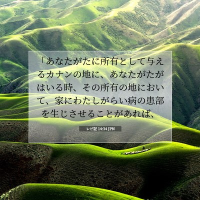 Picture 07 - レビ記 14:34 JPN - 「あなたがたに所有として与えるカ - Bible Verse Picture