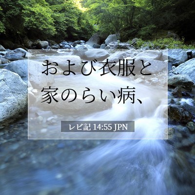 Picture 07 - レビ記 14:55 JPN - および衣服と家のらい病、 - Bible Verse Picture
