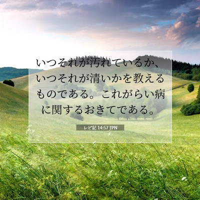Picture 07 - レビ記 14:57 JPN - いつそれが汚れているか、いつそれ - Bible Verse Picture