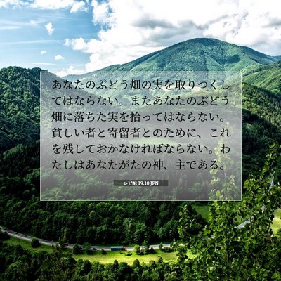 Picture 07 - レビ記 19:10 JPN - あなたのぶどう畑の実を取りつくし - Bible Verse Picture