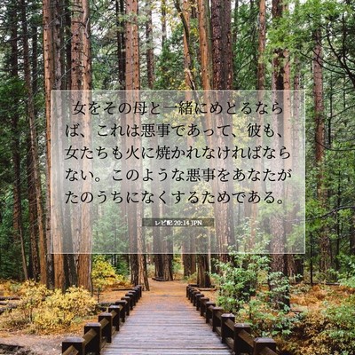 Picture 07 - レビ記 20:14 JPN - 女をその母と一緒にめとるならば、 - Bible Verse Picture