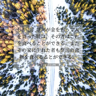 Picture 07 - レビ記 22:11 JPN - しかし、祭司が金をもって人を買っ - Bible Verse Picture