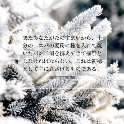 Picture 07 - レビ記 23:17 JPN - またあなたがたのすまいから、十分 - Bible Verse Picture