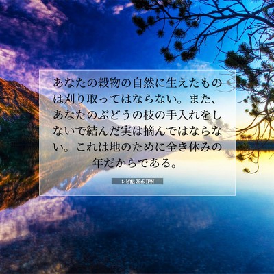 Picture 07 - レビ記 25:5 JPN - あなたの穀物の自然に生えたものは - Bible Verse Picture