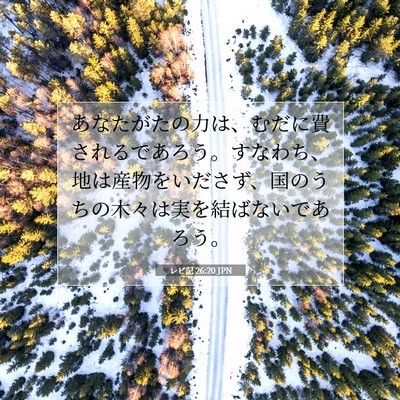 Picture 07 - レビ記 26:20 JPN - あなたがたの力は、むだに費される - Bible Verse Picture